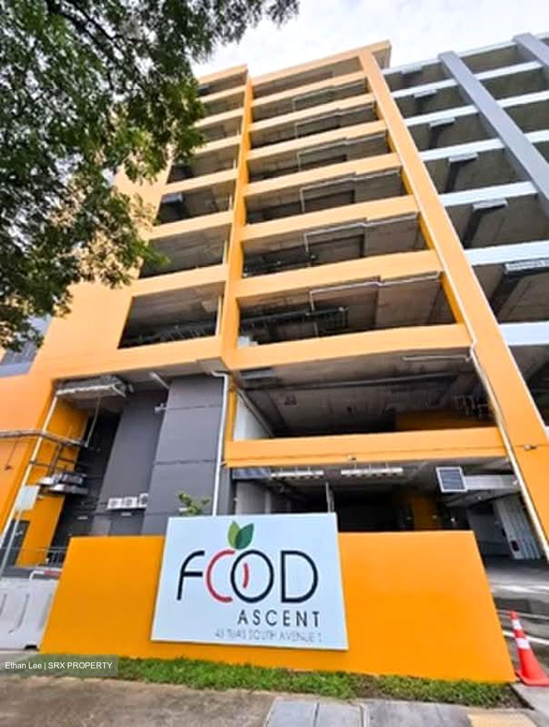 FOOD ASCENT (D22), Factory #591812611